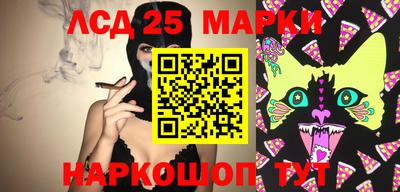 спайс Шелехов