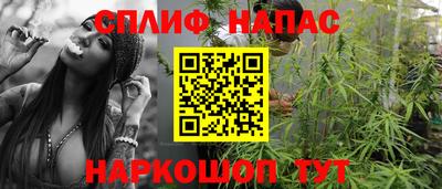 прущие крисы Шахты