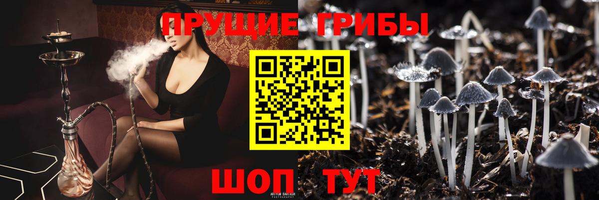 Псилоцибиновые грибы MAGIC MUSHROOMS Ипатово